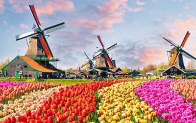 Bike route Netherlands tulip fields