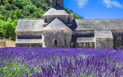 Visit Provence in France – Wine and Luxury Travel Beyond the Vine
