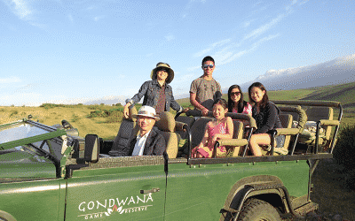 Planning a Multi Family Vacation: A Guide to Traveling with Children and Grandchildren with Ease