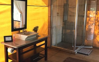 Everything You Want to Know About Luxury Eco Lodges, Camps and Glamping