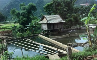 Vietnam Vacation: Your #GlobalLocal Answers Your Questions About Experiences You Can Have