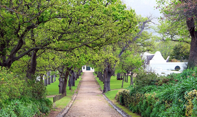 Groot Constantia (Photo: Groot Constantia) Groot Constantia (Photo: Groot Constantia)
