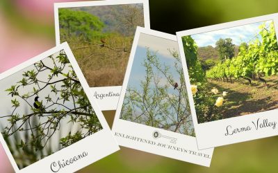 Salta: A City in Andean Argentina – Ultimate Argentina Travel Guide (Part 1.a.1.)