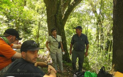 Natural Argentina: Ecotourism Can Fill Your Heart and Lift Your Spirit (Part 1.b.)