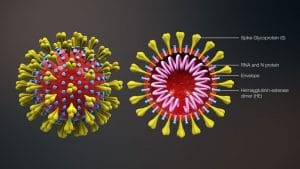 Will the Coronavirus Kill Travel Dreams- and the Travel Industry?