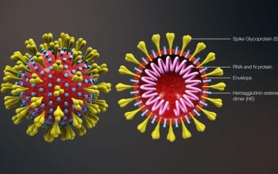 Will the Coronavirus Kill Travel Dreams- and the Travel Industry?