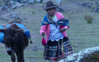 9 Movies That Will Transport You to Latin America – While You Stay At Home