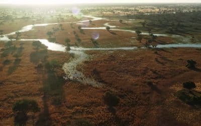 On My Way to My First Botswana Safari … What do I imagine it will be like?