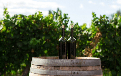 What to Do in Mendoza, Argentina: 3 Things that Make Mendoza a Perfect Group Vacation Destination